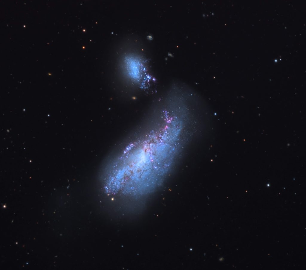 NGC4490 Galaxy